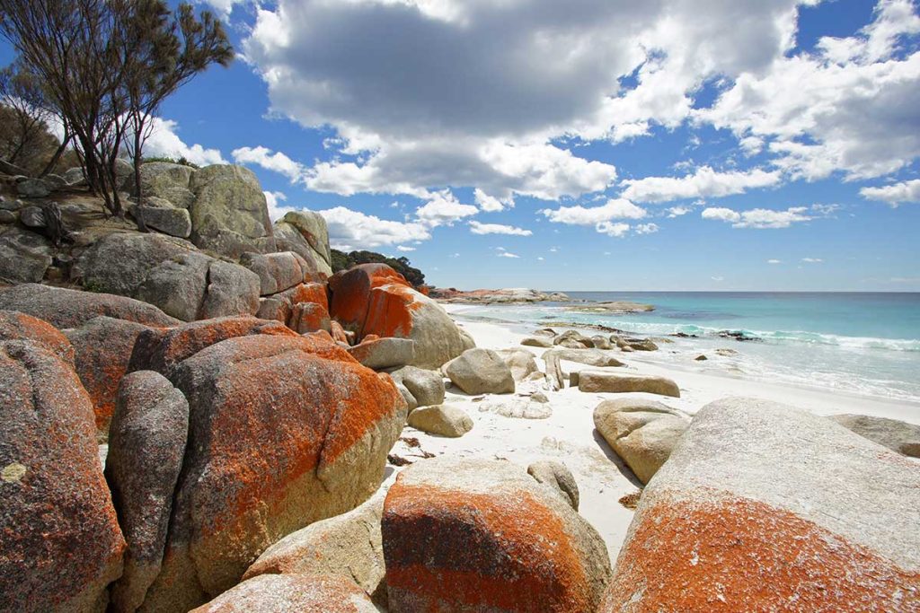 Bay of Fires